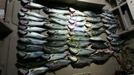 スカイマリン 釣果