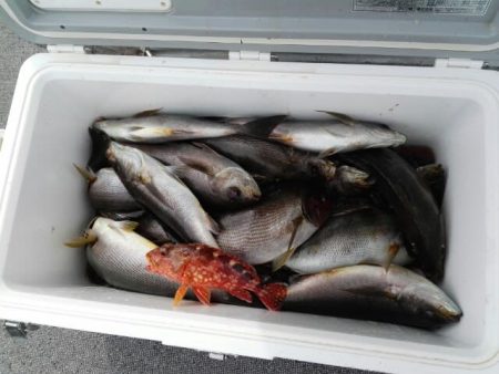 第二大福丸 釣果