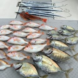 ミタチ丸 釣果