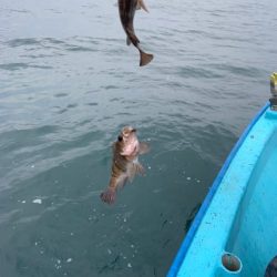 宝昌丸 釣果