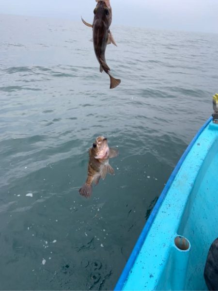 宝昌丸 釣果