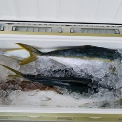 遊漁船　ニライカナイ 釣果