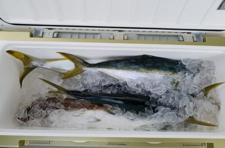 遊漁船　ニライカナイ 釣果