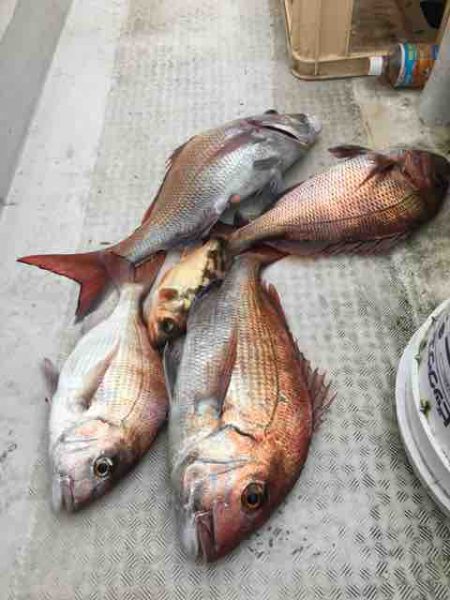 龍宮丸 釣果