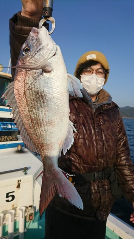 シードリーム 釣果