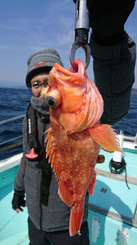 シードリーム 釣果