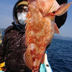 シードリーム 釣果