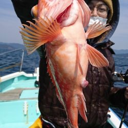 シードリーム 釣果