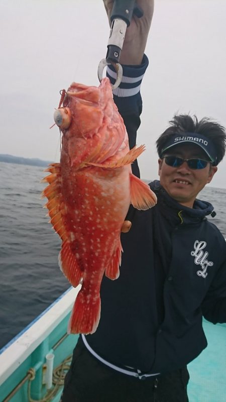 シードリーム 釣果