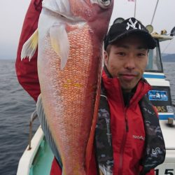 シードリーム 釣果