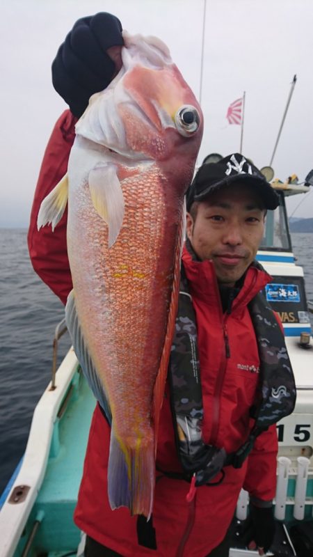 シードリーム 釣果