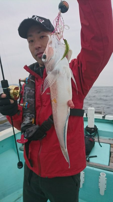 シードリーム 釣果