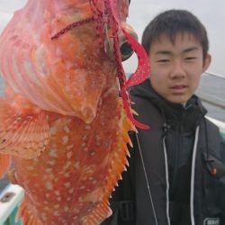 シードリーム 釣果