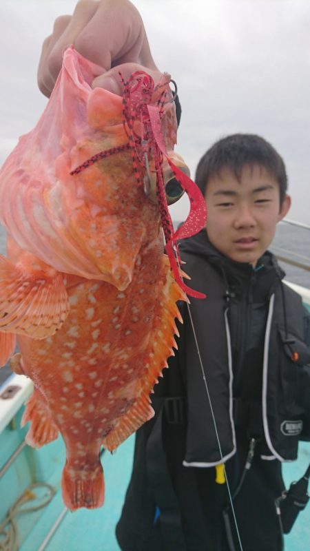 シードリーム 釣果