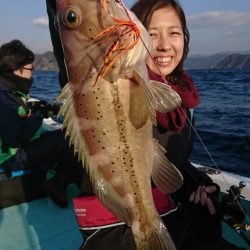 シードリーム 釣果