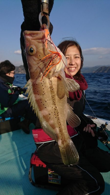 シードリーム 釣果