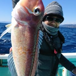 シードリーム 釣果