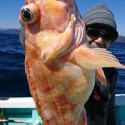 シードリーム 釣果