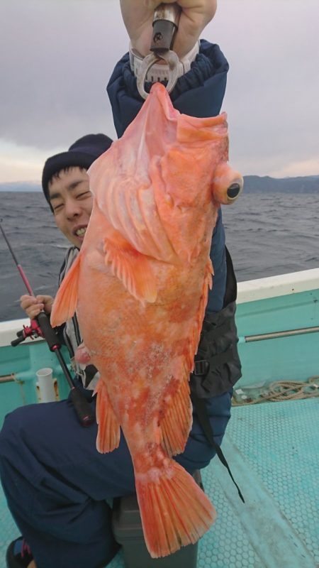 シードリーム 釣果