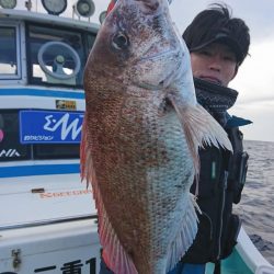 シードリーム 釣果