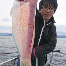 シードリーム 釣果