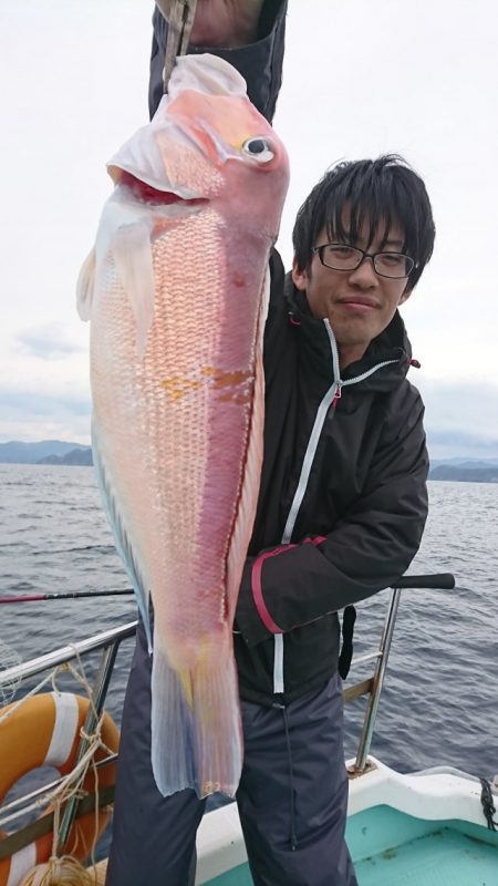 シードリーム 釣果