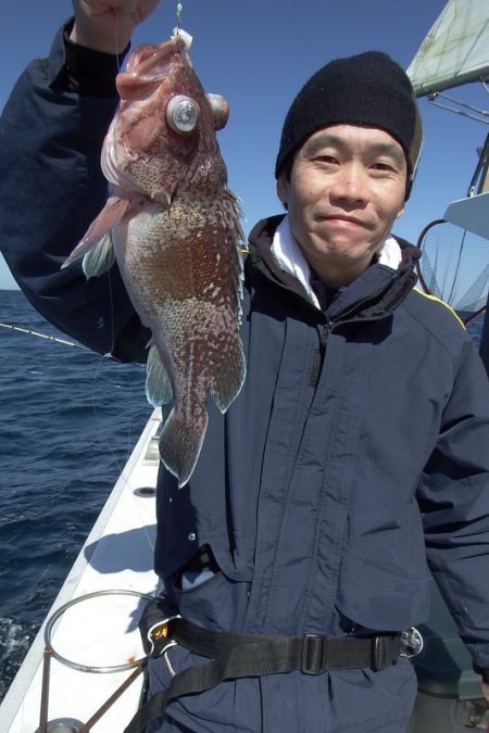 第三むつりょう丸 釣果