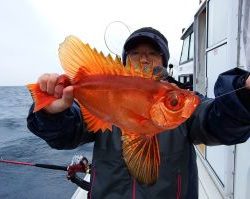 第三むつりょう丸 釣果