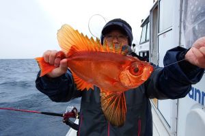 第三むつりょう丸 釣果