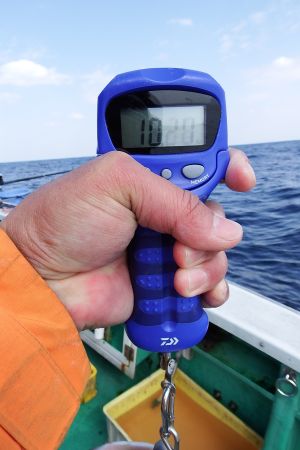 第三むつりょう丸 釣果