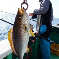 第三むつりょう丸 釣果