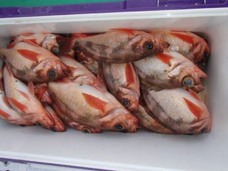 第二むつ漁丸 釣果