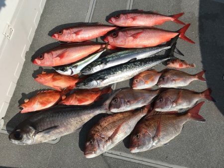 へいみつ丸 釣果