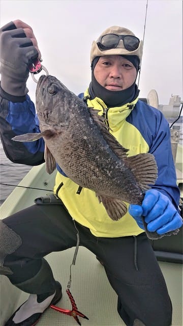 気仙沼　つり丸 釣果