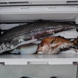 遊漁船 遊友 釣果