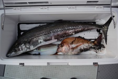 遊漁船 遊友 釣果