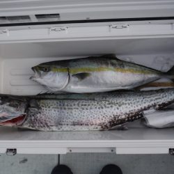 遊漁船 遊友 釣果