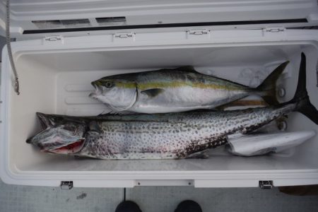 遊漁船 遊友 釣果