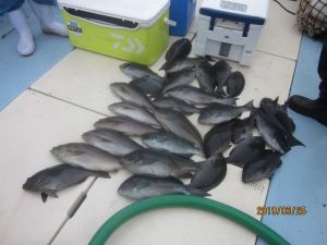 第十八吉栄丸 釣果