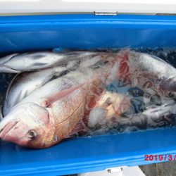 大進丸(新潟) 釣果