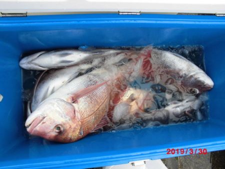 大進丸(新潟) 釣果