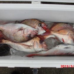 大進丸（新潟） 釣果