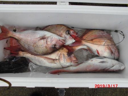 大進丸（新潟） 釣果