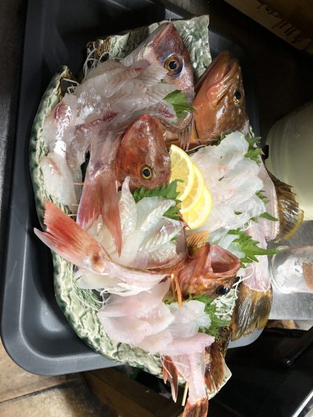 リトルワン 釣果