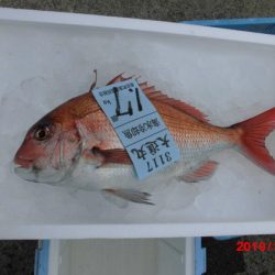 大進丸（新潟） 釣果