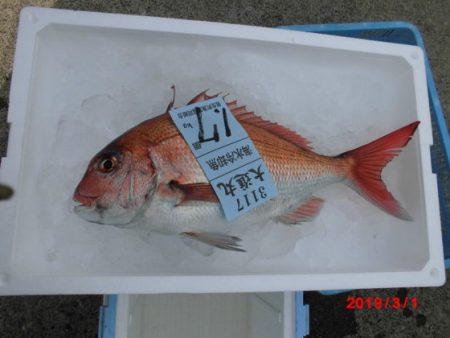 大進丸（新潟） 釣果