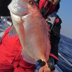 遊漁船 新鋭丸 釣果