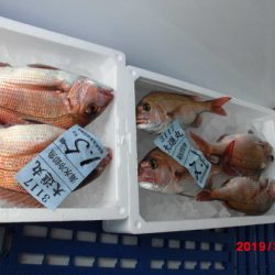 大進丸（新潟） 釣果