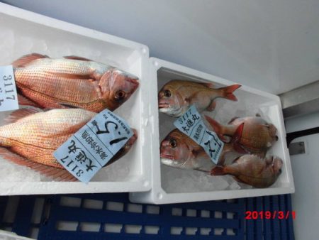 大進丸（新潟） 釣果