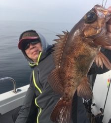 シーモンキー 釣果